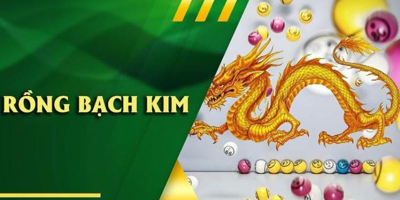 Giới thiệu đôi chút về dàn đề Rồng Bạch Kim